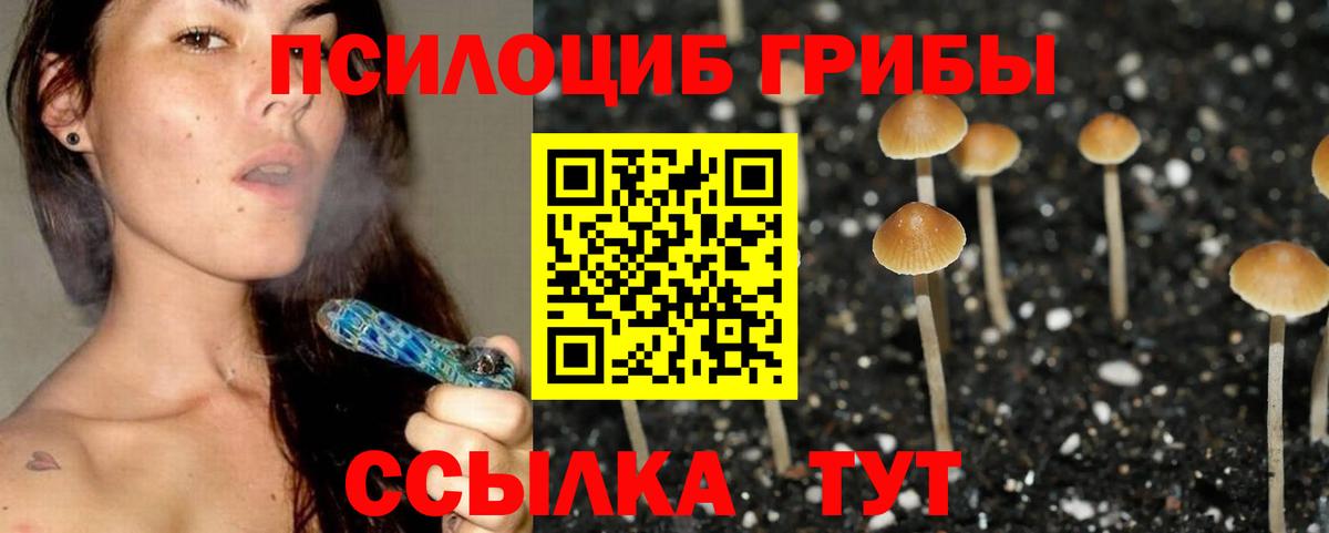 Галлюциногенные грибы Cubensis Скопин