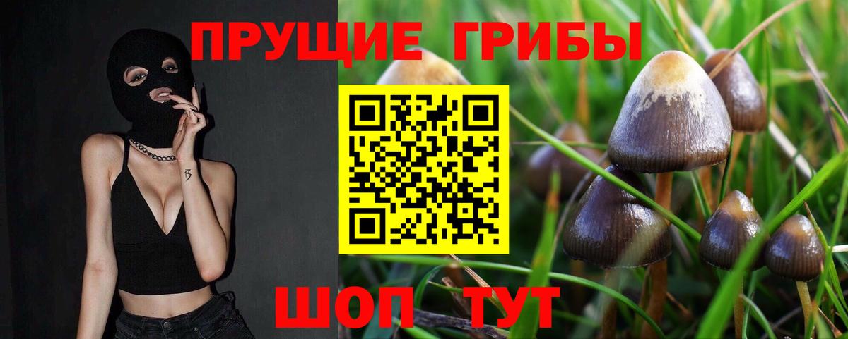 Галлюциногенные грибы мицелий  Вход с VPN  Скопин 